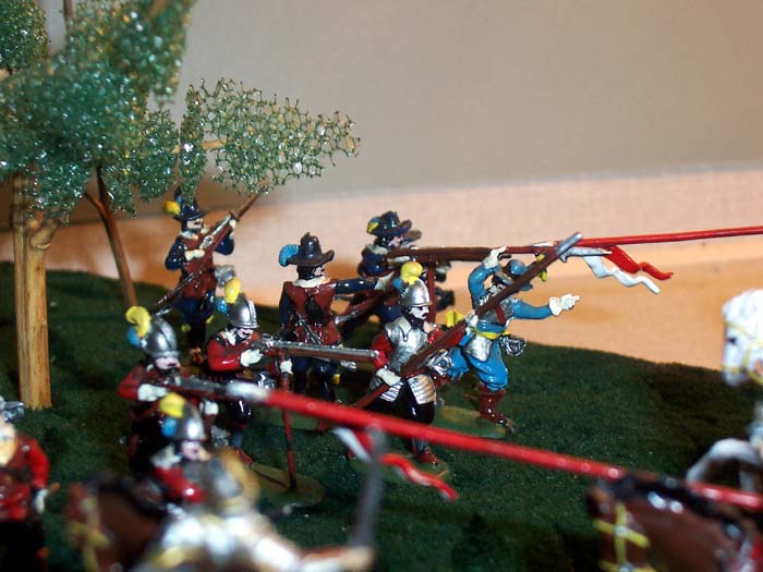 Swedish Infantry